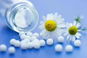 desarrollo homeopatia